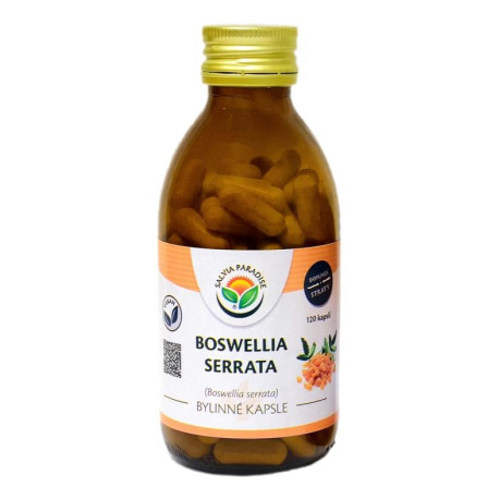 Boswellia serrata - kapsuly kadidla 120 kusov