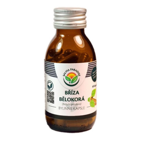 Kapsula z bielej brezy 60 diel