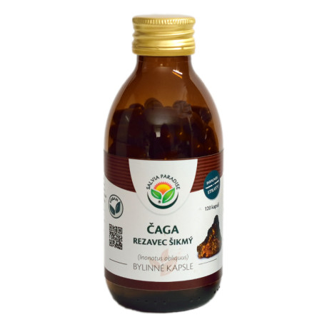 Chaga - kapsuly s nakloneným rezačom 120 ks