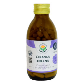 Chicory kapsuly 120 ks