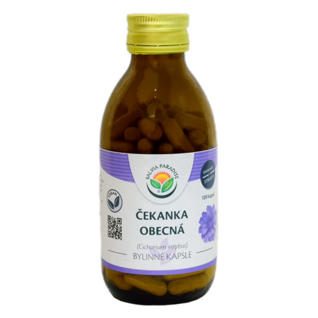 Chicory kapsuly 120 ks