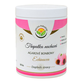 Echinacea – fialové cukríky z agaru s kuhľovníkmi, 60 kusov