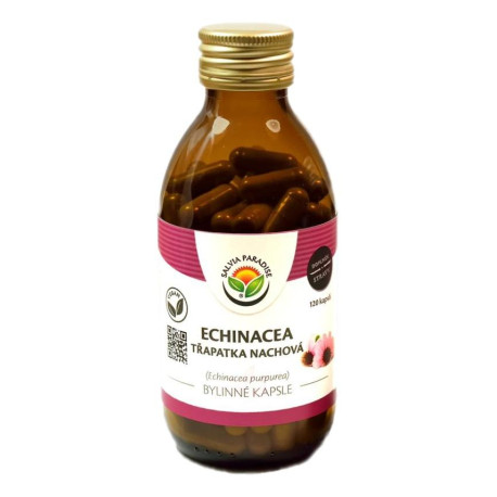 Echinacea - kapsuly fialového kuhľovníka 120 %