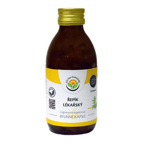 Burdock kapsuly 120 ks