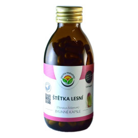 Forest Capsule Brush 120 dielov