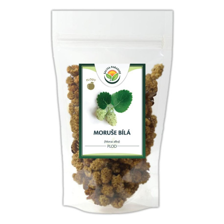 Plody bielej moruše 1000g
