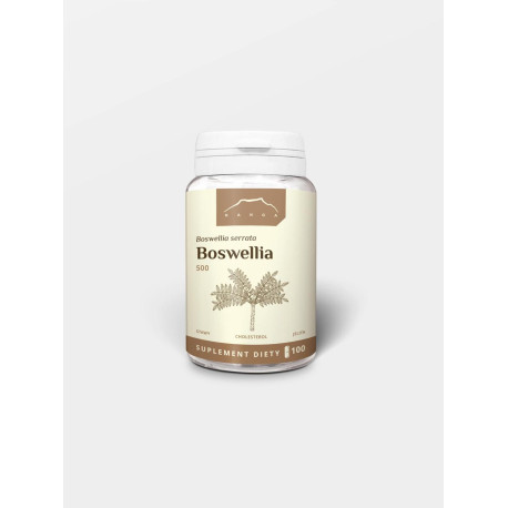 Boswellia 100 kapsúl x 500 mg - 100