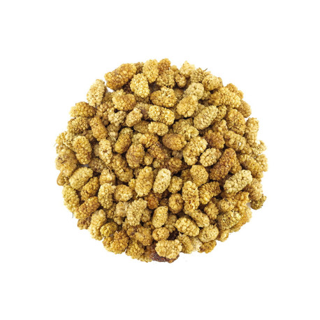 Moruša sušená - 7.5kg