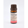 Tekutý extrakt z ginkga biloba - 10 ml