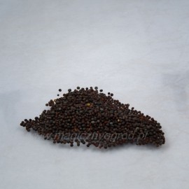 Čierne horčičné semená - Brassica nigra - 100g vcelku