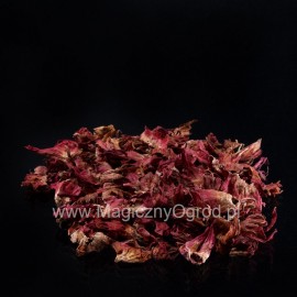 Ibištek kvet - Hibiscus sabdariffa - 100g mletý