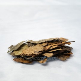 Ilex guayusa list - 25g vcelku