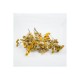 Vratič obyčajný kvet - Tanacethum vulgare - 250g