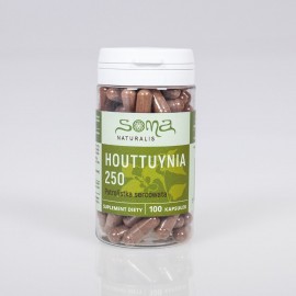 Houttuynia cordata kapsule 250 mg x 100 kapsúl
