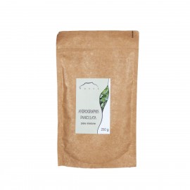 Andrographis paniculata - Andrographis paniculata - 250g mletý