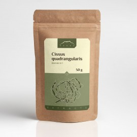 Cissus quadrangularis ekstrakt 4:1 - 50g