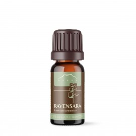 Olej Ravensara aromatica - 100% esenciálny olej - 10ml - Ravensara aromatica
