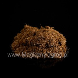 Kukuričné čnelky - Stigma maydis - 250g