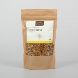 Divozel malokvetý - Verbascum thapsus - 50g