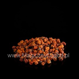 Jarabina vtáčia plod - Sorbus aucuparia - 50g vcelku