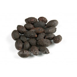 Saw Palmetto extrakt 45% - Serenoa repens - 100g