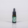 Absintová esencia - 10ml