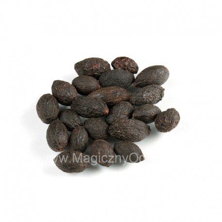 Saw Palmetto plod - Serenoa repens - 50g vcelku