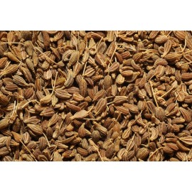 Aníz - Pimpinella anisum - 100g vcelku
