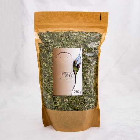 Štetka lesná vňať - Dipsacus sylvestris - 100g sekaný