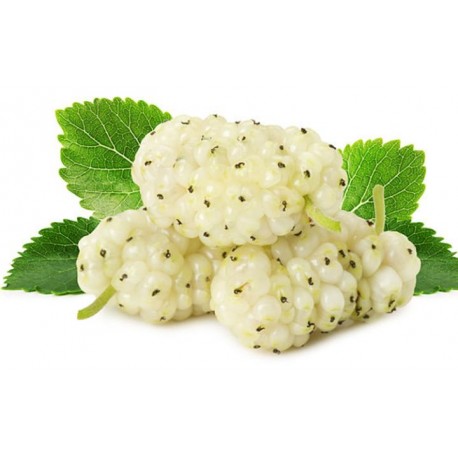 Biela moruša plod - Morus alba - 100g vcelku