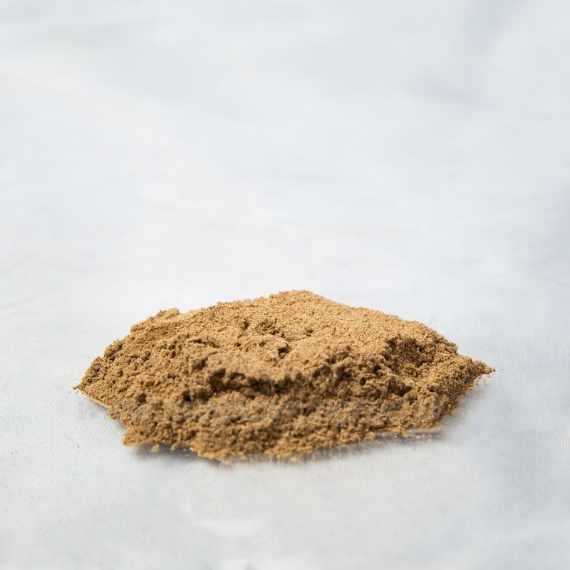 Reishi - ganoderma lucidum - 50g mletý