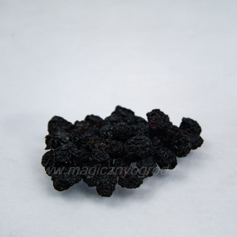 Aronia plod - photinia melanocarpa - 250g vcelku