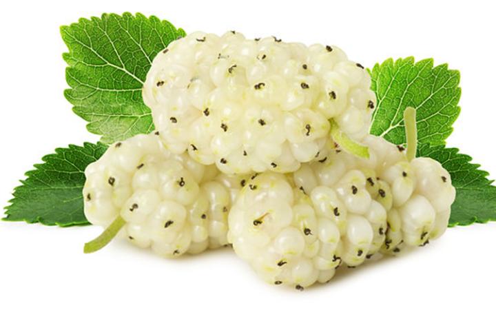 Biela moruša plod - morus alba - 100g vcelku